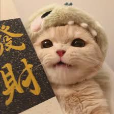 Ảnh đại diện người dùng Vũ Mạnh Hùng